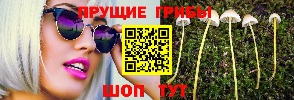 Псилоцибиновые грибы MAGIC MUSHROOMS  Вход с VPN  Тихвин 